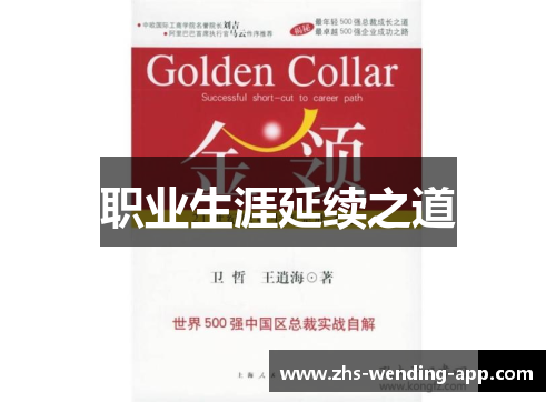 职业生涯延续之道