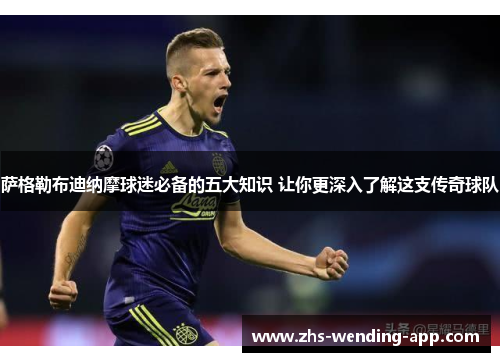 萨格勒布迪纳摩球迷必备的五大知识 让你更深入了解这支传奇球队