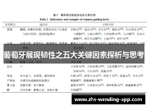 葡萄牙展现韧性之五大关键因素探析与思考 葡萄牙展现韧性之五大关键因素探析与思考