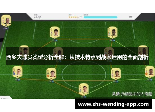 西多夫球员类型分析全解:从技术特点到战术运用的全面剖析 西多夫球员类型分析全解:从技术特点到战术运用的全面剖析