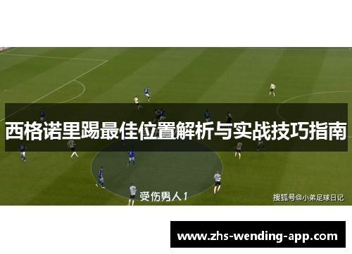 西格诺里踢最佳位置解析与实战技巧指南