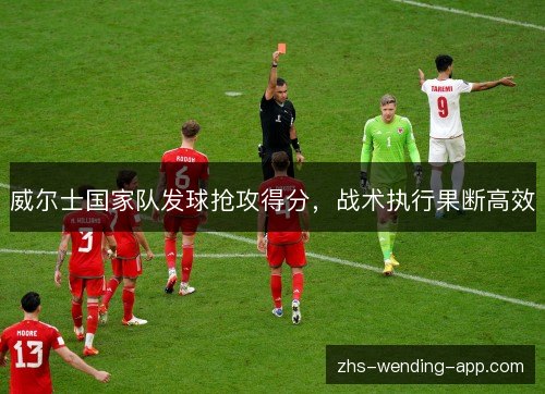 威尔士国家队发球抢攻得分,战术执行果断高效 威尔士国家队发球抢攻得分,战术执行果断高效